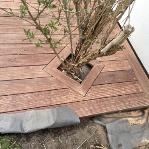 Detalje af træterrasse med indramning omkring busk