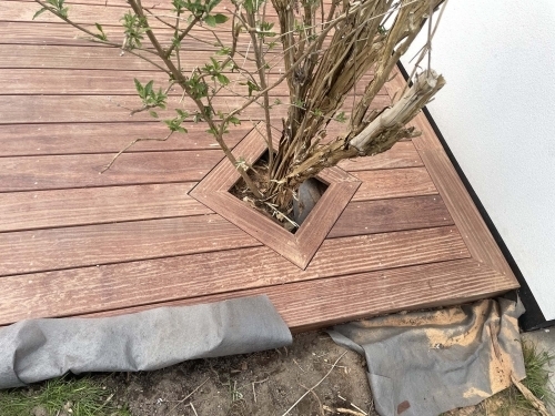 Detalje af træterrasse med indramning omkring busk